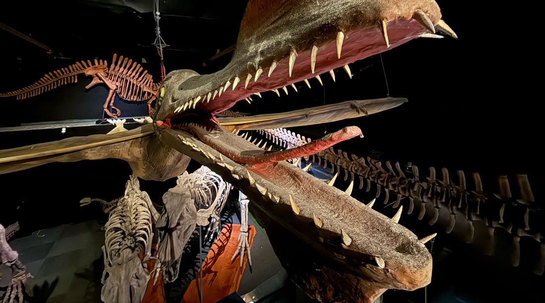 Himmelskt farligt I sin jakt på föda cirkulerade Ornithocheirus och Quetzalquatlas i skyn som stora flygplan hos A World of Dinosaurs.