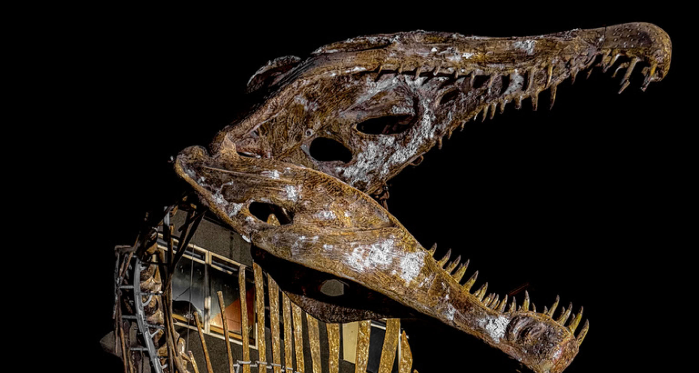 Världens största Spinosaurus hos A World of Dinosaurs