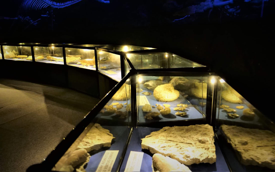 Livets ursprung  Från solsystems begynnelse  till dinosauriernas uppkomst hos A World of Dinosaurs