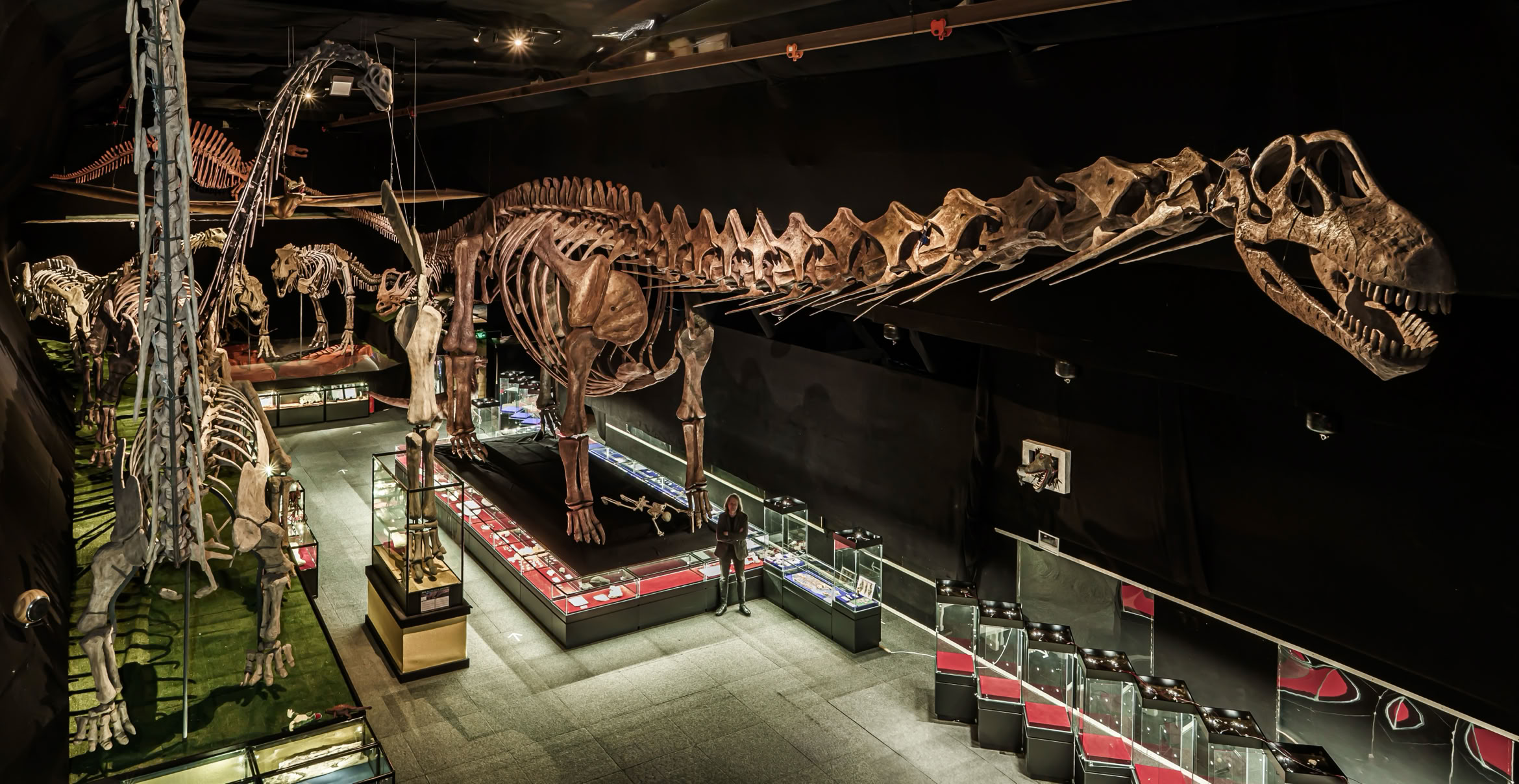 ARGENTINOSAURUS med sin nästan 40m långa kropp överträffar era vildaste fantasier om hur stor och mäktig en dinosaurie kunde bli.